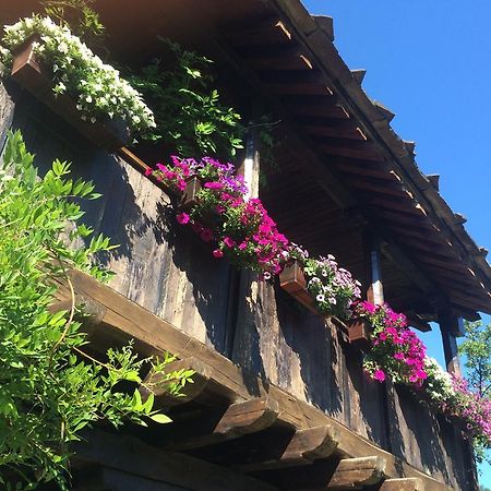 Stefanina Guesthouse Bozhentsi Esterno foto