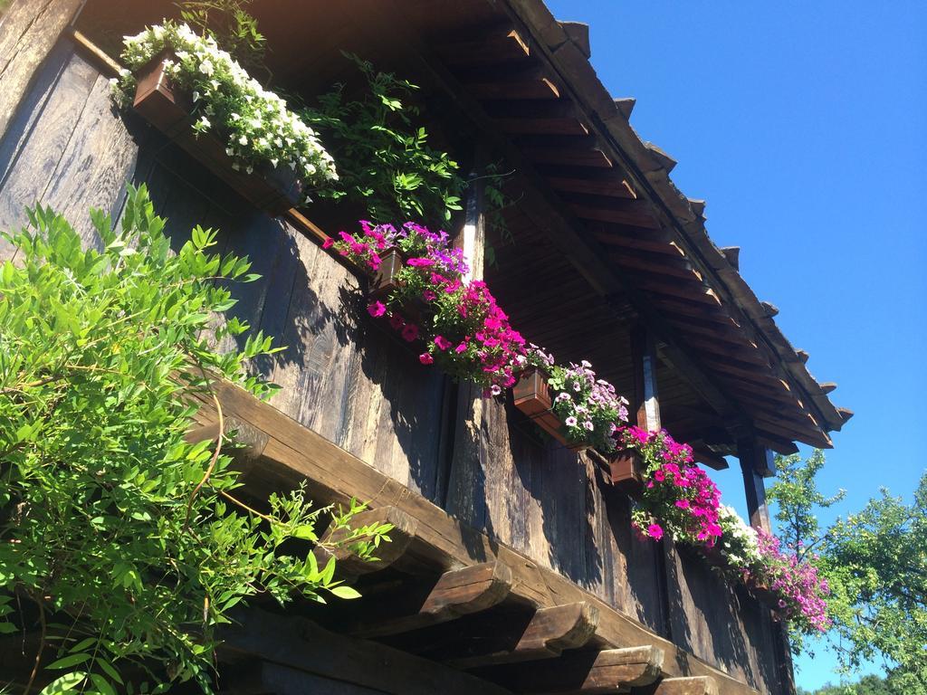 Stefanina Guesthouse Bozhentsi Esterno foto