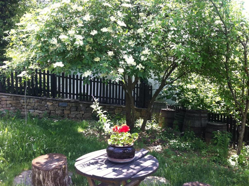 Stefanina Guesthouse Bozhentsi Esterno foto
