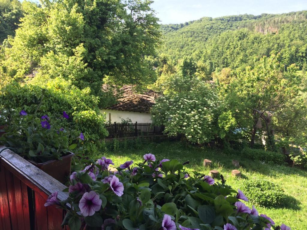 Stefanina Guesthouse Bozhentsi Esterno foto